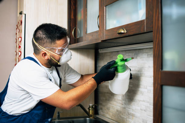 Best Best Pest Control Companies  in Clarkton, MO