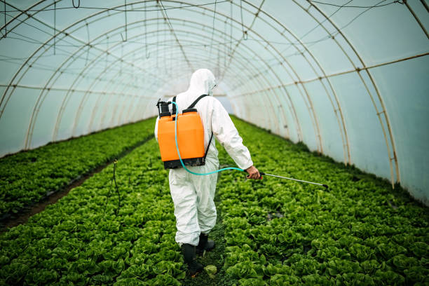 Best Pest Control Near Me  in Clarkton, MO