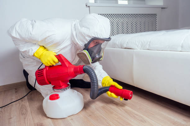 Best Wasp Removal Services  in Clarkton, MO
