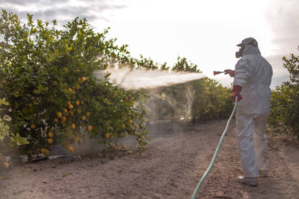 Best Pest Control Near Me in Clarkton, MO
