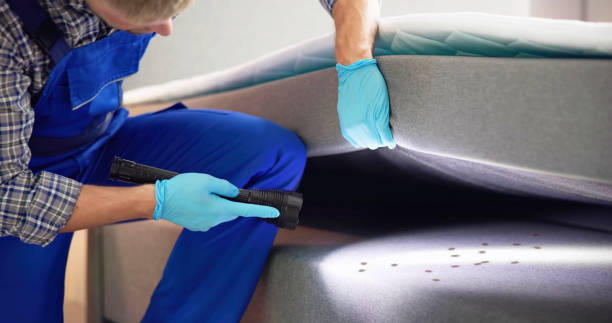 Best Residential Pest Control  in Clarkton, MO